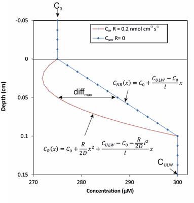 Oxygen Profiles Across the Sea-Surface Microlayer—Effects of Diffusion and Biological Activity